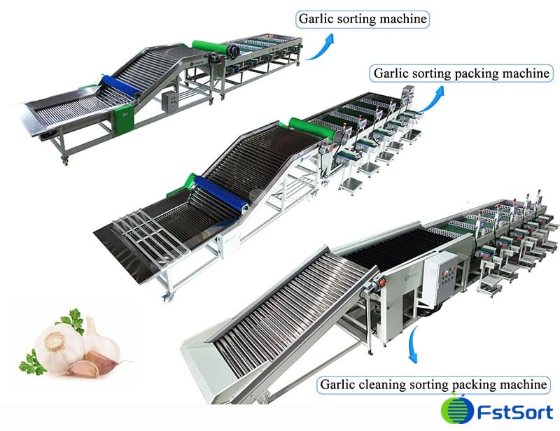 garlic sorting packaging line.jpg garlic sorting packaging line.jpg